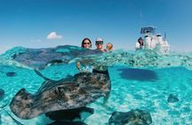 Private Charter Reef fishing, Stingray City, Snorkel, Mangroves