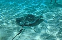 Stingray Sandbar, Snorkeling, and Starfish Point