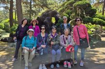 Jeju Private Day Tour with Jeju Cruise Terminal Pickup 