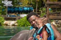 Day trips from Kingston
