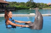 Day trips from Kingston