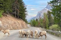 Explore 3 National Parks - Exclusive Small Group Tour