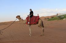 Dubai: Dune Buggy Safari and Camel Ride with Transportation