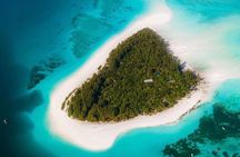 Mnemba Island Escape Dolphins watching and snorkeling