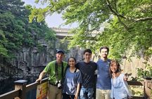 Jeju Private Day Tour from Gangjeong Cruise Terminal.