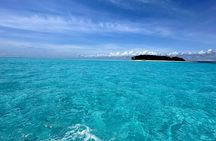 Mnemba Island Escape Dolphins watching and snorkeling