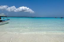 Mnemba Island Escape Dolphins watching and snorkeling