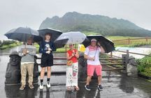Jeju island Private Day Tour for Cruise Customers