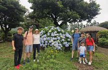 Jeju island Private Day Tour for Cruise Customers