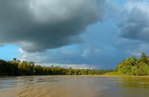  Kinabatangan River 2-Day Minibus and Boat Sharing Tour