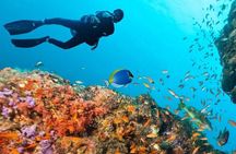 Private Musandam Trip With Lunch