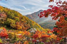 Hwadam Botanic Garden and Namhansanseong and Folk Village Trip