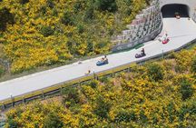 Seoul to Incheon Day Tour: Luge Ride, Railbike & Ferry Ride