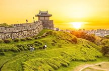Suwon Hwaseong Fortress & Jangtaesan Full-Day Tour: Autumn Leaves