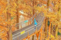 Seoul Jangtaesan Forest & Daejeon Bakery Full-Day Tour
