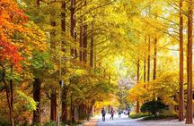 Seoul Jangtaesan Forest & Daejeon Bakery Full-Day Tour