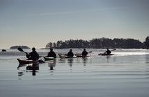 Winter kayaking in Eastern Helsinki archipelago