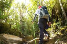 Kanching Waterfall Hot Spring and Kuala Selangor Firefly Tour