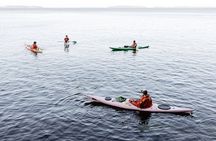 Helsinki City 3-Hour Kayak Trip