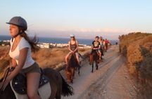 Golden Hour Gallop: Evening Ride in Paros