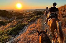 Golden Hour Gallop: Evening Ride in Paros