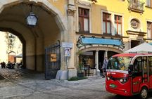 Wroclaw tour with electric bus, 2 h (English guide) 5-13 people