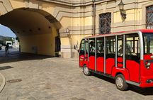 Wroclaw tour with electric bus, 2 h (English guide) 5-13 people