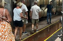 Catania: Wine Tour