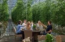 Golden Circle, Friðheimar, Lagoon & Food tasting (Small Group)