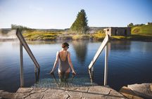 Golden Circle, Friðheimar, Lagoon & Food tasting (Small Group)