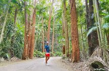 Botanical Garden and Tijuca Forest: Nature in Rio de Janeiro