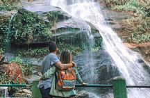 Botanical Garden and Tijuca Forest: Nature in Rio de Janeiro