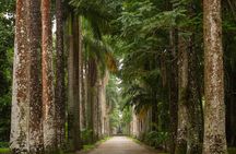 Botanical Garden and Tijuca Forest: Nature in Rio de Janeiro