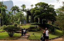 Botanical Garden and Tijuca Forest: Nature in Rio de Janeiro