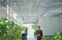 Small-Group Architecture Tour in Ginza, Tokyo