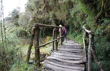 Inca Trail 4 days with Vistadome Observatory
