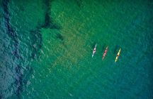 Sick Day Midweek Kayak Tour on Tomales Bay