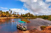 Tour in Itacimirim and Imbassaí - The Wonders of the Coast