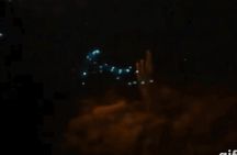 Bioluminescent Night Snorkeling