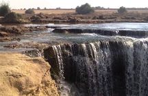 Full Day Fayoum Oasis Tour from Cairo with Lunch