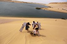 Full Day Fayoum Oasis Tour from Cairo with Lunch