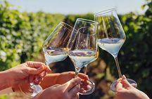 Visit Caravedo Winery + Artisanal Winery - Classic Tasting