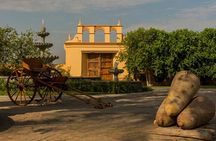 Visit Caravedo Winery + Artisanal Winery - Classic Tasting