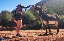 Hiking Beyond Paradise Valley