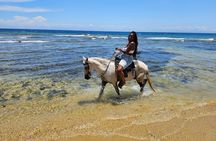 Roatan Horseback Ride, Wildlife Sanctuary & Reef Snorkel by Boat