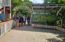 Roatan Horseback Ride, Wildlife Sanctuary & Reef Snorkel by Boat