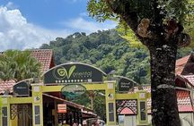 Private One Day Langkawi Highlights With Cable Car And Sky Bridge
