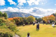Tokyo Hakone : Mt.Fuji, Owakudani, Open Air Museum, Hakone Shrine