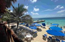 Cozumel Island Tour: Mayan Ruins, Reefs, and Beach Escape