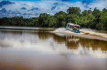  Kinabatangan River 2-Day Minibus and Boat Sharing Tour